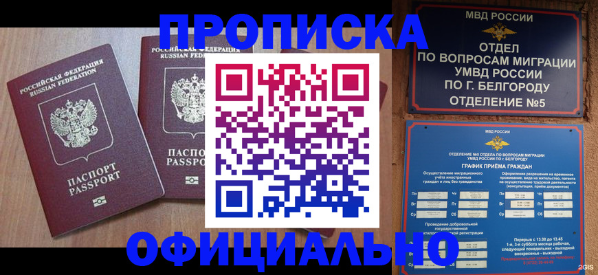 найти адрес прописки в Павловске
