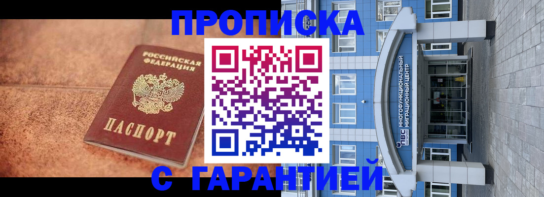 где прописаться в Павловске